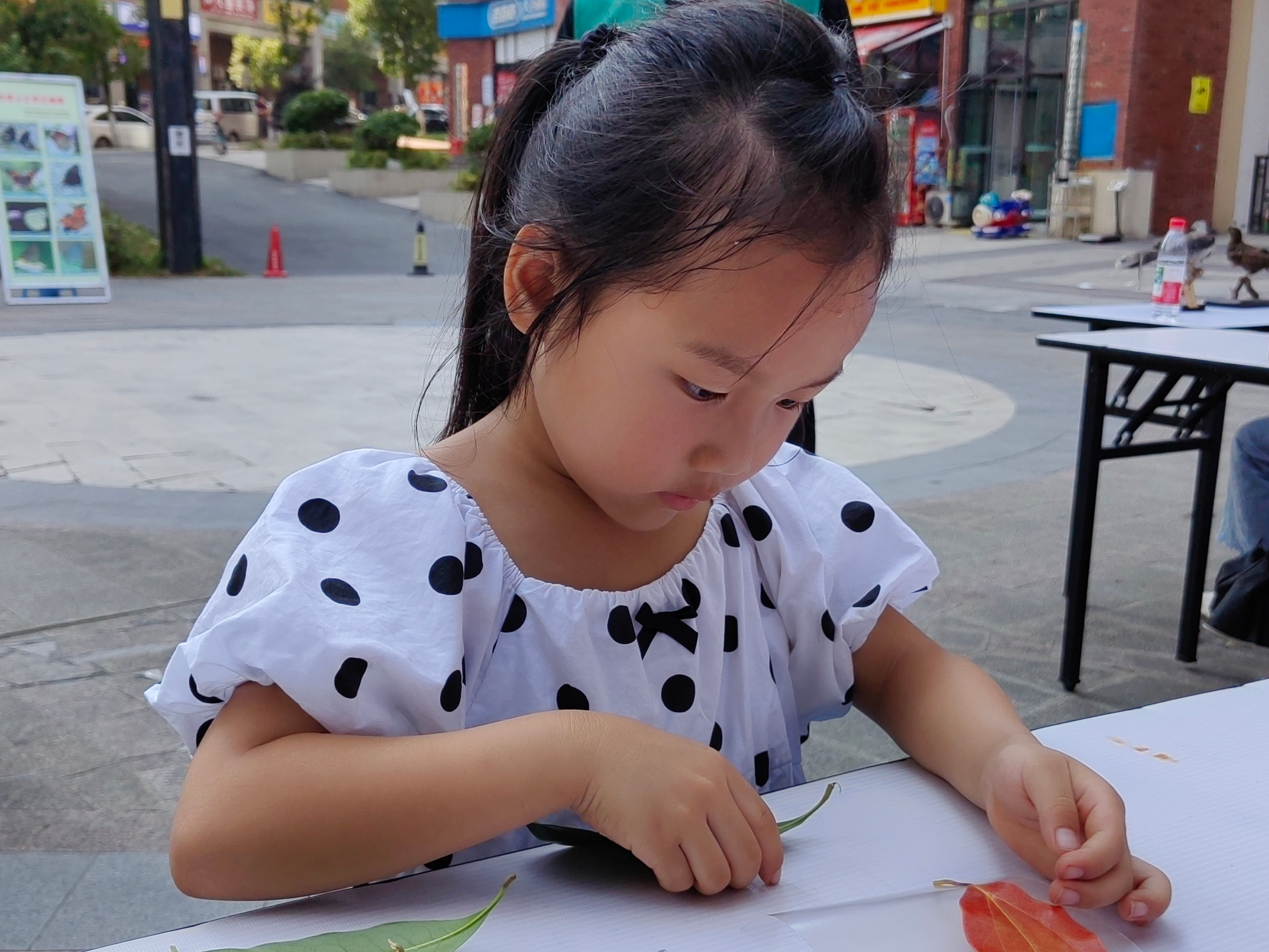 图为制作叶子书签2，唐诗琴摄.jpg