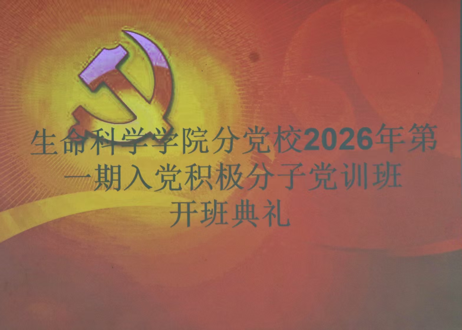 图为PPT.jpg